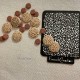 Pochoir feuille de texture pour argile polymere motif leopard en PVC